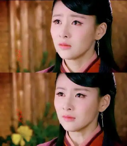 《少年四大名捕》【姬瑶花】姬统领#贾青