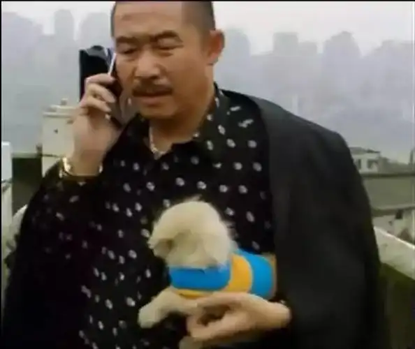 这首歌甚至在《疯狂的石头》中,作为道哥的手机彩铃出现,以表现人物的