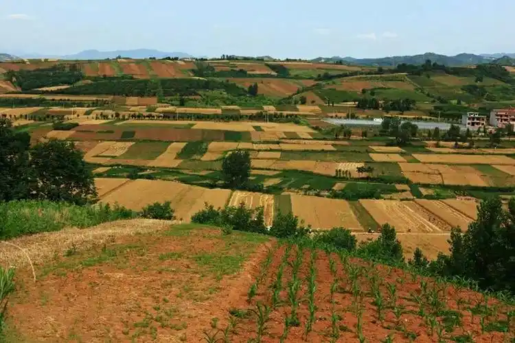 北方的盛夏农村