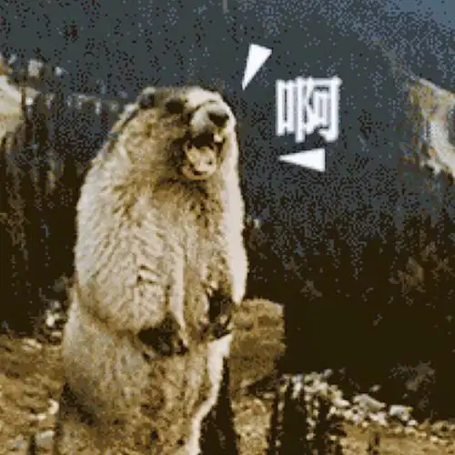 流星baita _ 哔哩哔哩相簿