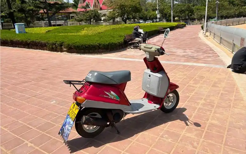 【巨长版】周末骑行 木兰50 小青岛 八大关 五四广场线