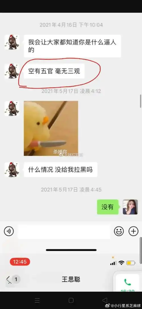 孙一宁王思聪聊天记录##王思聪换ins头像