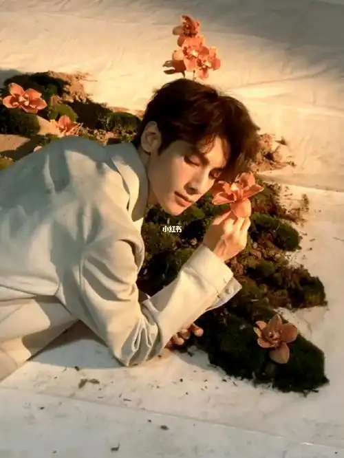 内娱刺客还有这个解释我觉得罗云熙粉丝好