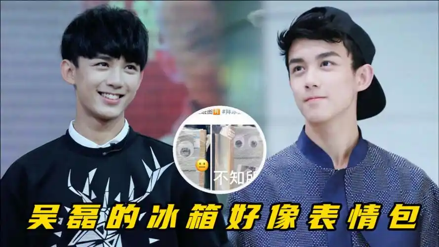吴磊的冰箱好像表情包,干饭人吴磊《拜冰》名场面
