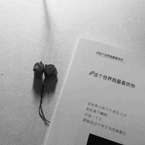 适合五月的朋友圈文案,句句唯美高级,让人无法自拔