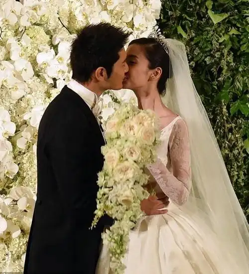 杨颖的老公是谁,杨颖的老公是谁?结婚照(黄晓明与angelababy大婚)