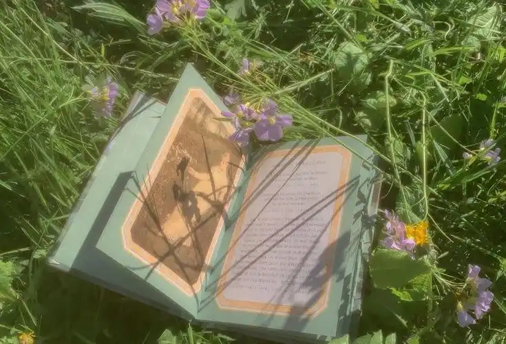 histor  4月28日 11:30   关注  少女心壁纸 神仙背景 壁纸 ins潮图