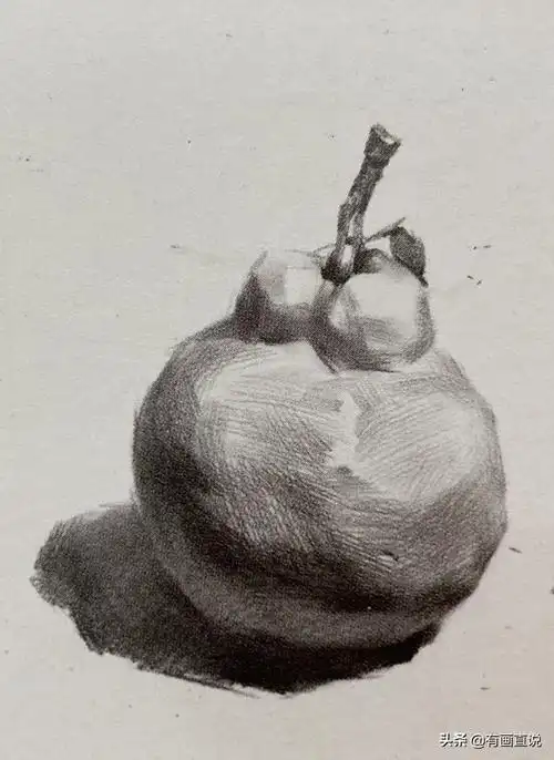 橘子素描怎么画结构教程(水果橘子单体画法详解)(7)
