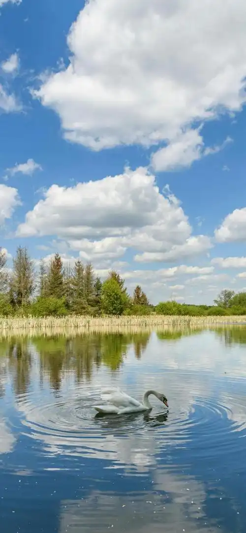 16张自然风景iphone壁纸