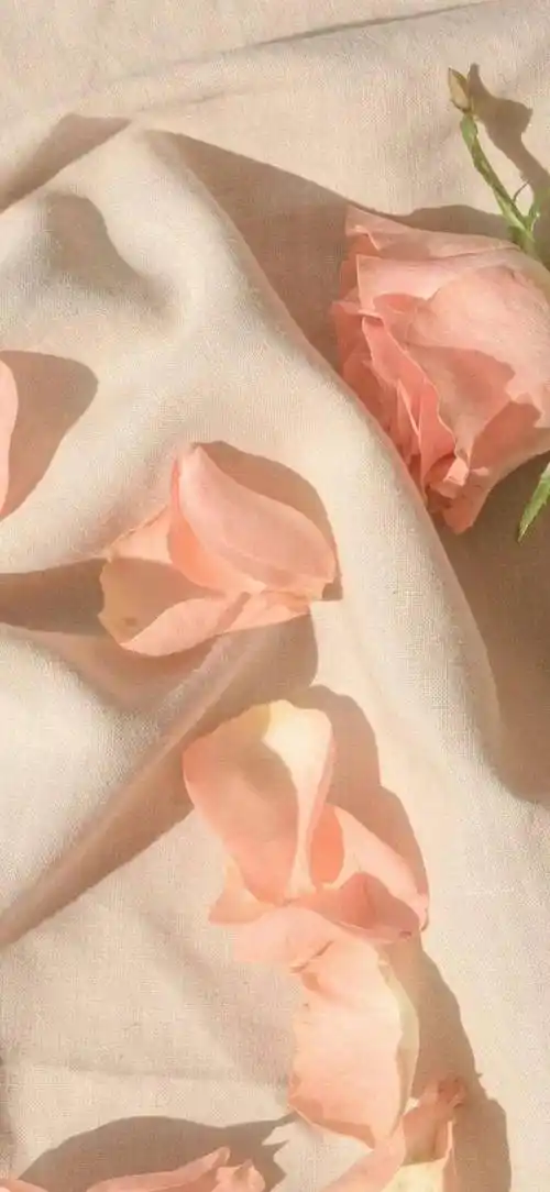 ins高级感壁纸图