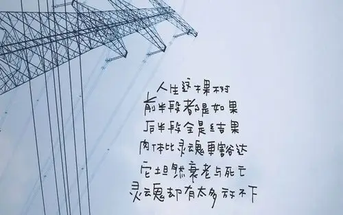 个性文字简约电脑桌面壁纸图片_高清壁纸_壁纸下载_美桌网