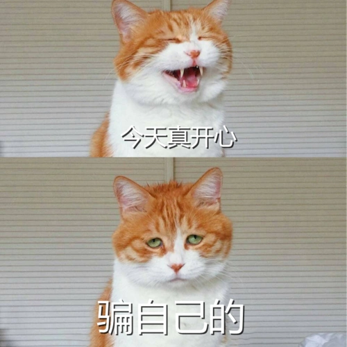 萌宠搞笑表情图片素材