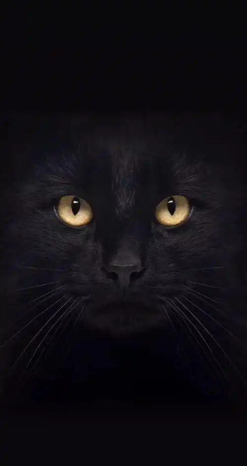 简约黑色锁屏壁纸换上效果很神奇