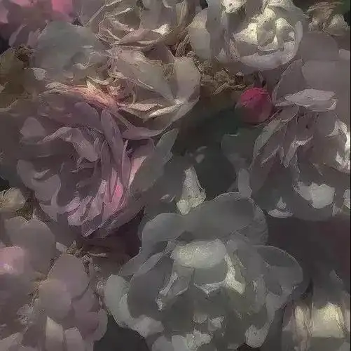 超好看的朋友圈背景图微信朋友圈背景图简约干净