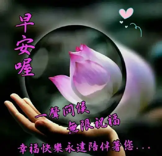 早安吉祥因为珍惜而拥有因为努力而收获因为感恩幸福早安