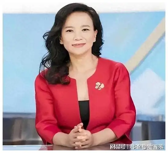 被开除的4位央视主持人口无遮拦终自食恶果有人竟是国外间谍