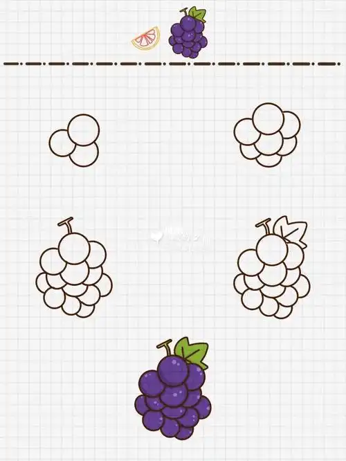 d43葡萄简笔画