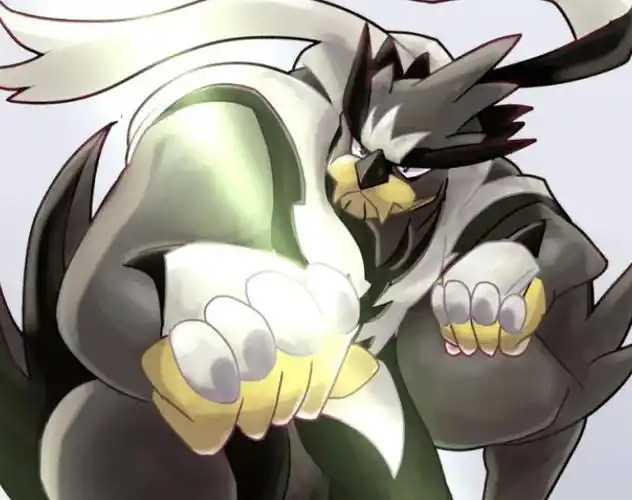 《宝可梦》格斗系的神兽里,全靠八代的武道熊师在撑场面?