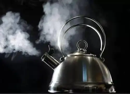 随时随地喝热水你需要一个能携带的热水壶