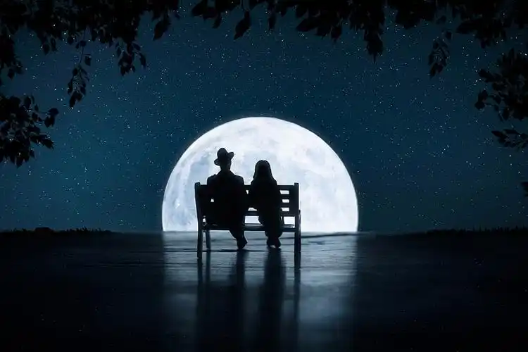 问:红蜻蜓软件(红蜻蜓女装品牌)