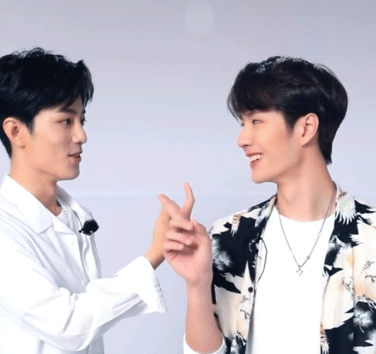 王一博肖战动图