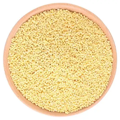 鹤来香大黄米500克煮粥包子粽子粘小/米五谷杂粮散装 五谷杂粮 五谷