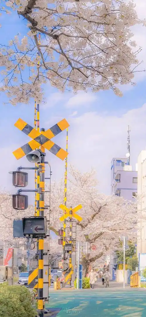 壁纸合集 | 治愈系简约壁纸