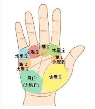 3,女人手相图解大全,女人手相看哪只手最准4,网上看到的如何看手相