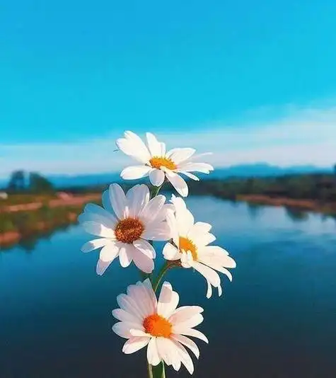 开心心情美美哒卡通图片