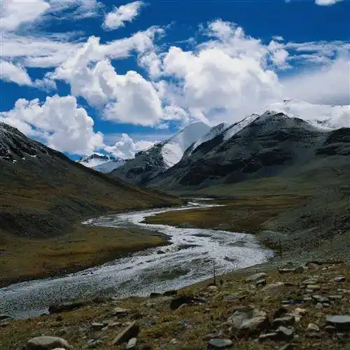 最美的风景微信头像图片