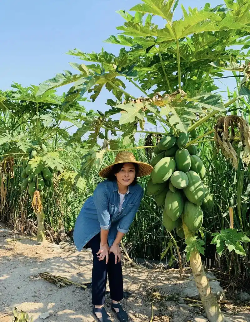 近日,在《粉红女郎》中饰演"男人婆"何茹男的张延在微博晒出几张近照