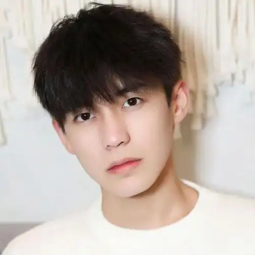 假发男短发韩版帅气网红时尚潮流男生齐刘海蓬松自然仿真全头套式