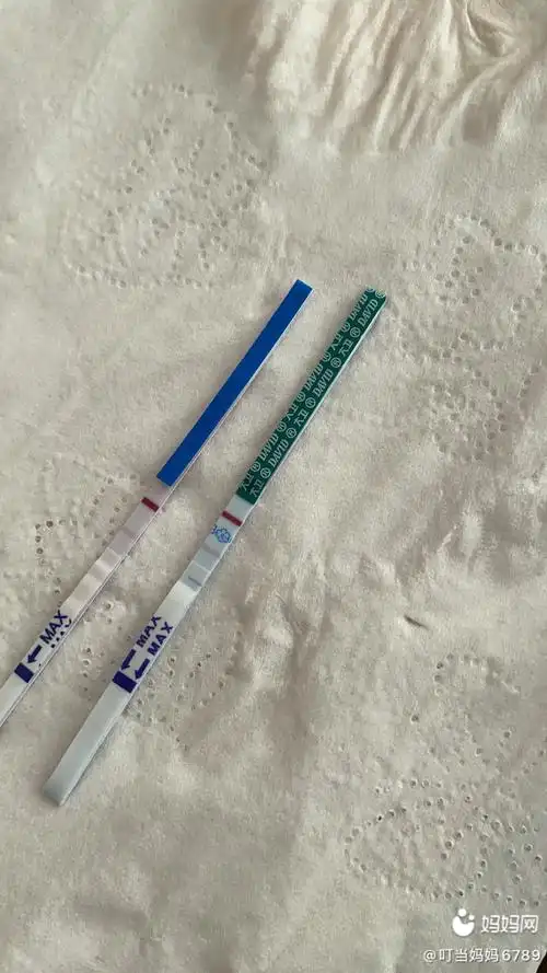 用了两种早孕试纸颜色都加深了_准备怀孕 - 妈妈网