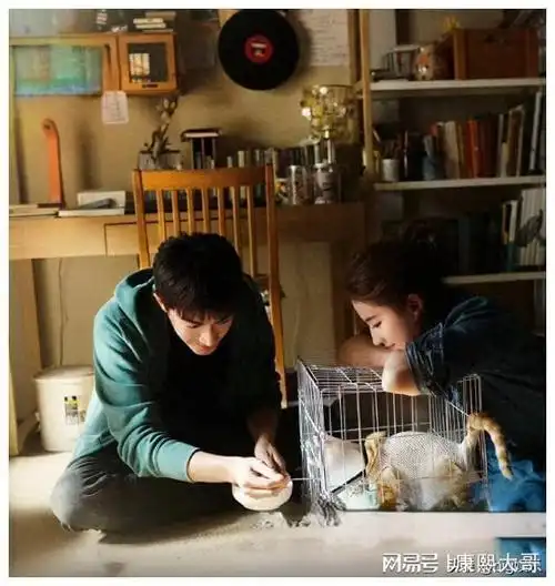 王一博,唐嫣,李现,谭松韵,王星越,宋茜,林更新,王阳,杨紫