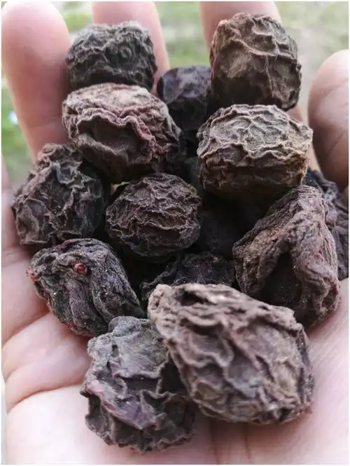 乌梅 云南晒梅生晒乌梅干药材 红梅中药大乌梅 源产地直接加工