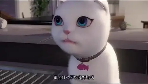 猫妖:苏冉冉是沈墨卿碰到最笨的一只猫妖!