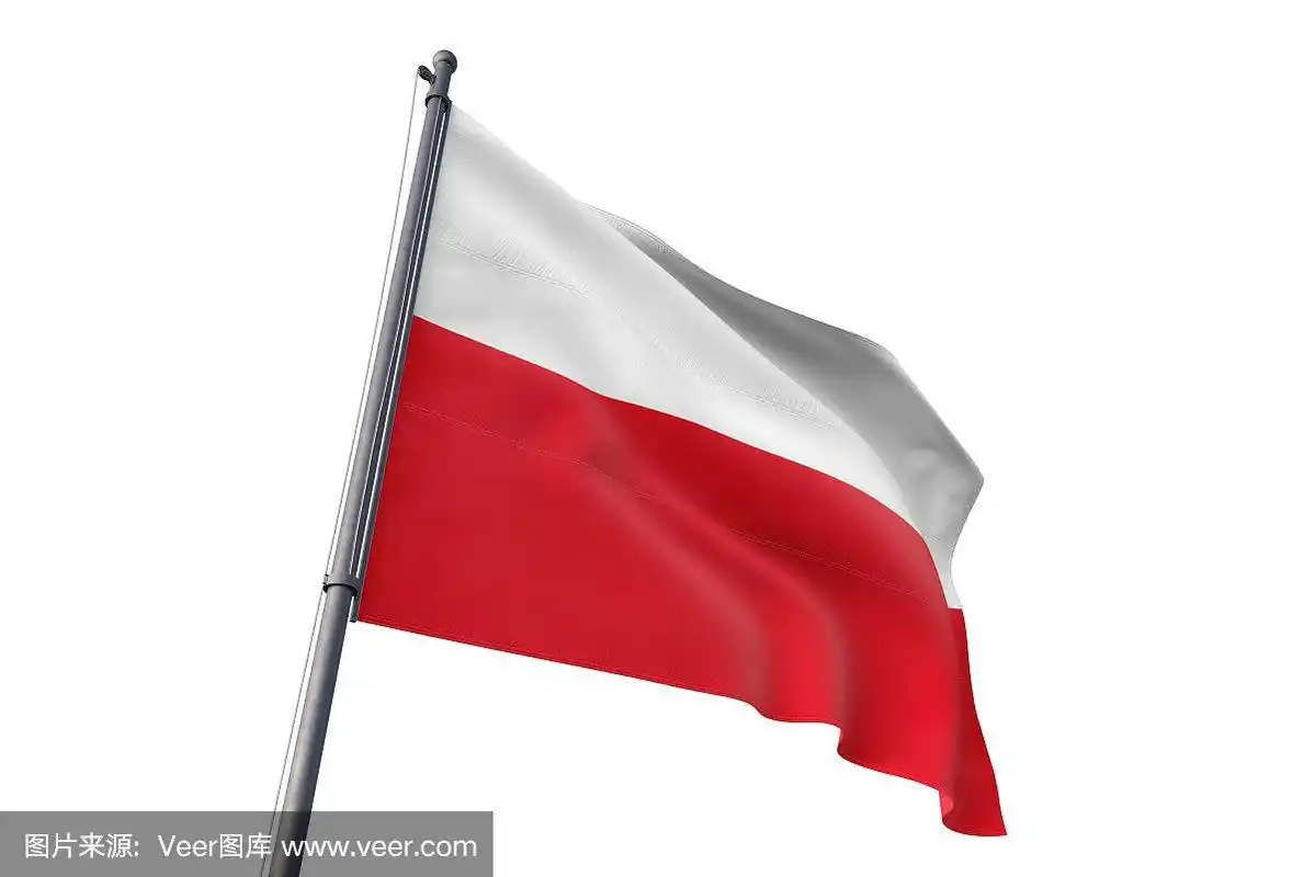 波兰国旗飘扬孤立的白色背景
