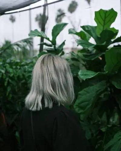 小清新 欧美风 iphone壁纸 头像.