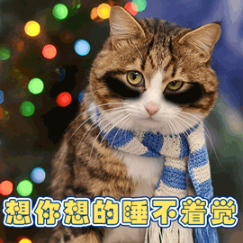 想你想的睡不着觉困soogifsoogif出品gif动图_动态图_表情包下载_soo