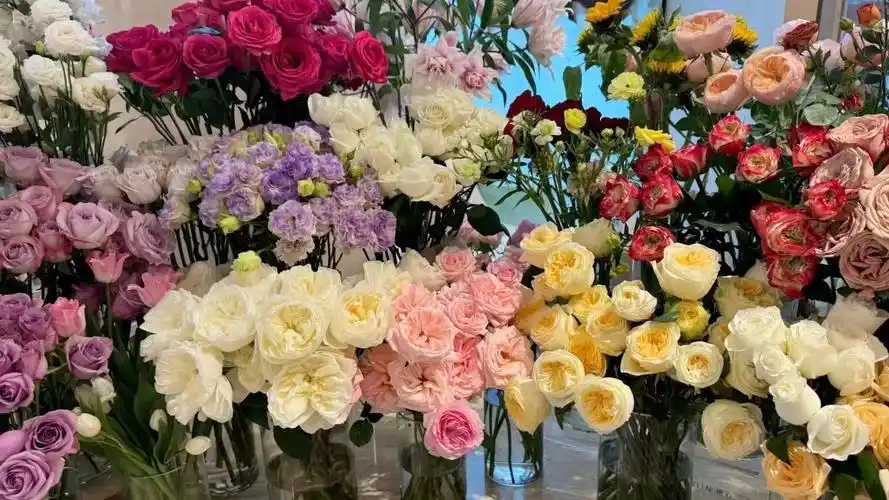 心情愉悦也可以很健康