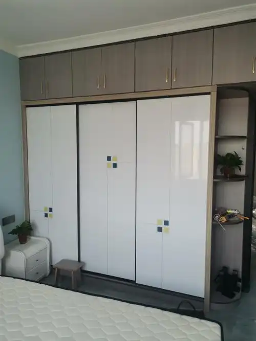 厂家直供家用简约推拉式衣柜门铝合金边框推拉门卧室移门衣柜