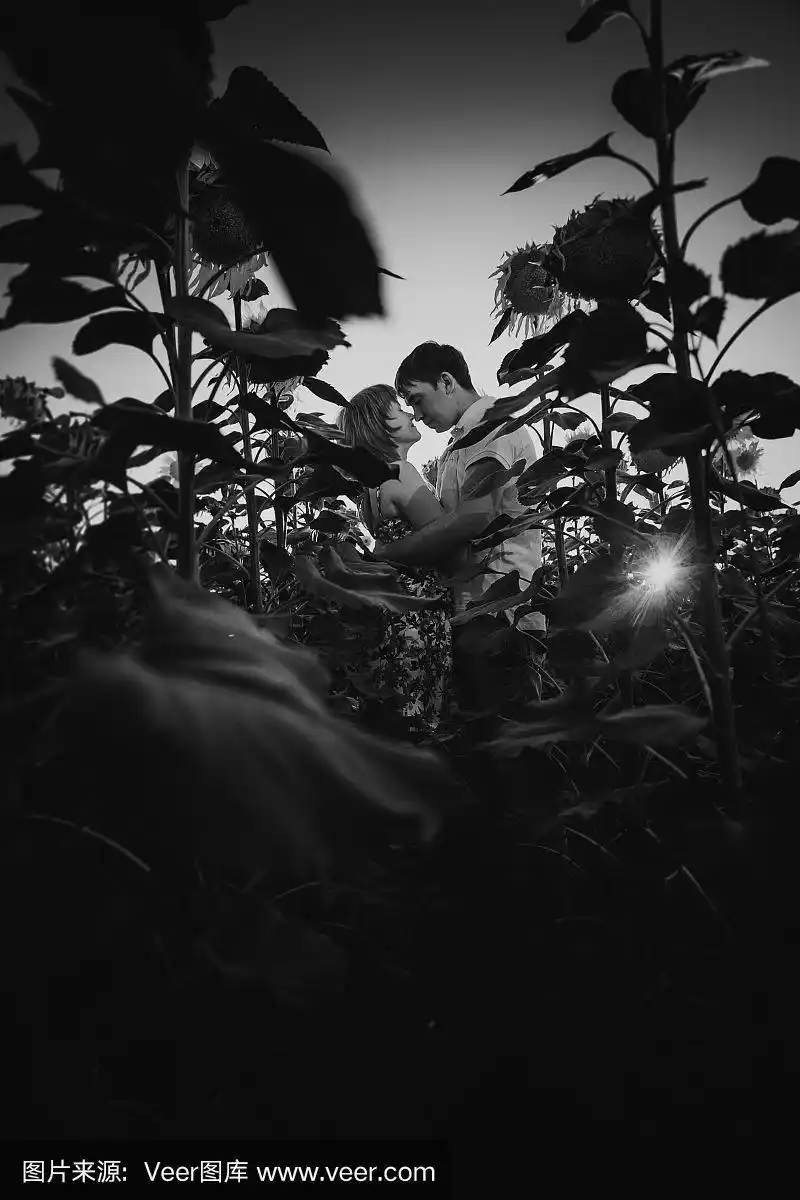 黑白摄影浪漫的情侣站着亲吻