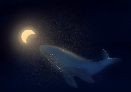 在鲸鱼的梦里,连寂夜的月光都是温柔的吧.