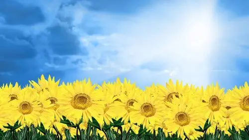 blissful landscape photo manipulation wallpapers 1920