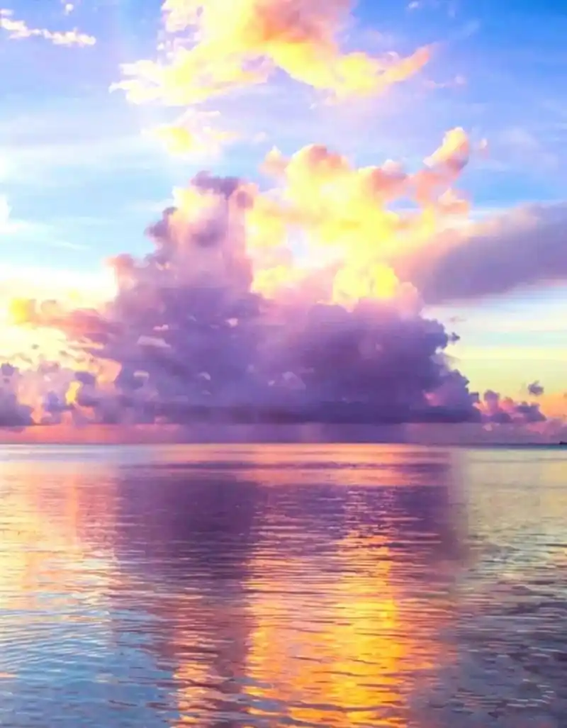 超仙气的风景图片. 鸟语花香,香烟缭绕 (*~79~*)