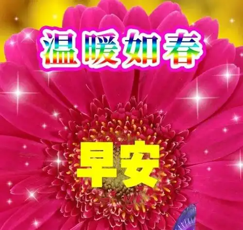 温馨的早上好祝福词句,带字祝福图片,新的一天,新的希望,早安