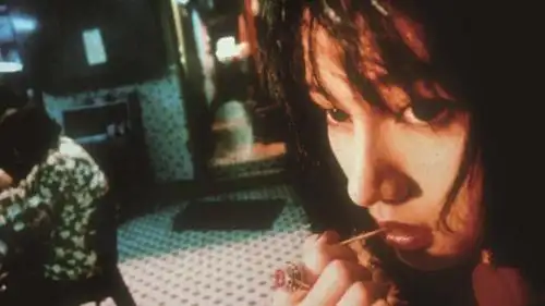 王家卫的电影世界独特视觉风格中的文学性