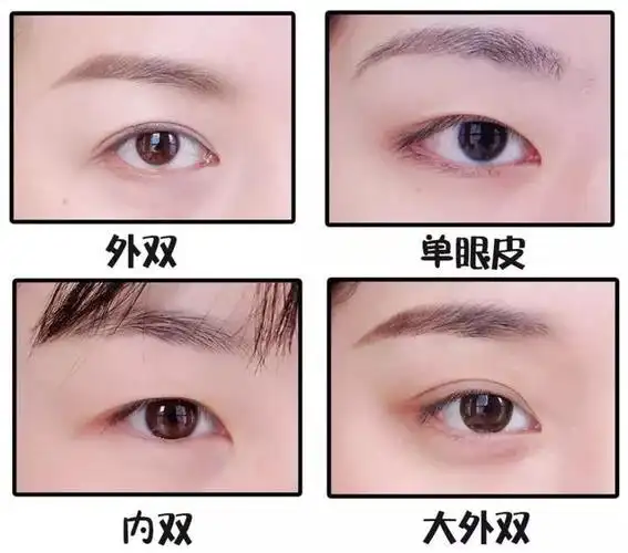 今天特邀四种眼型:单眼皮,内双,窄外双,大