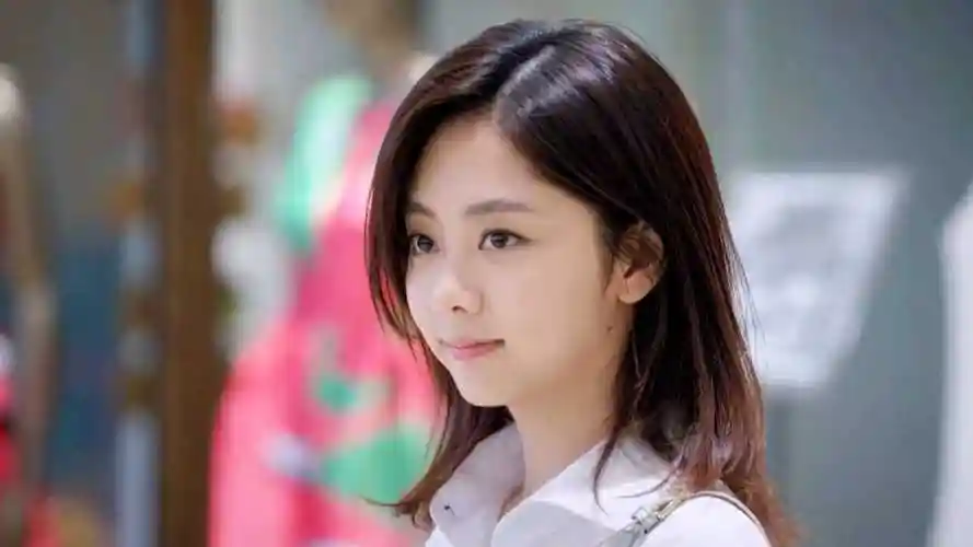 狐狸的夏天第一季谭松韵买最好的衣服狠宰霸总姜潮