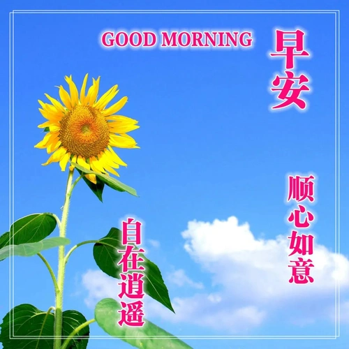 早上好图片 祝福语问候语 早上好问候专辑 问候语大全